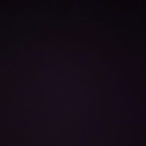 Meet your Posher, Angelica